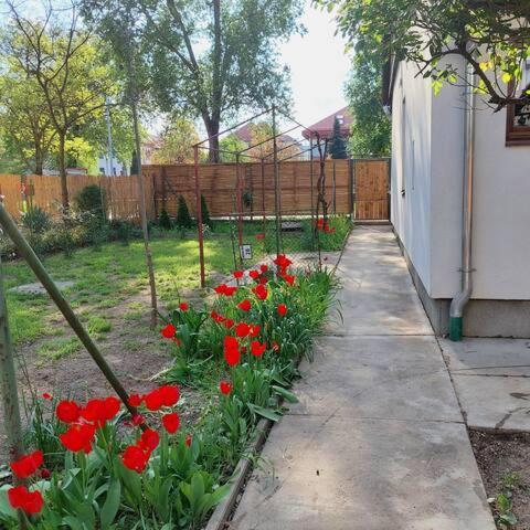 Ujszeged Apartman Ngoại thất bức ảnh